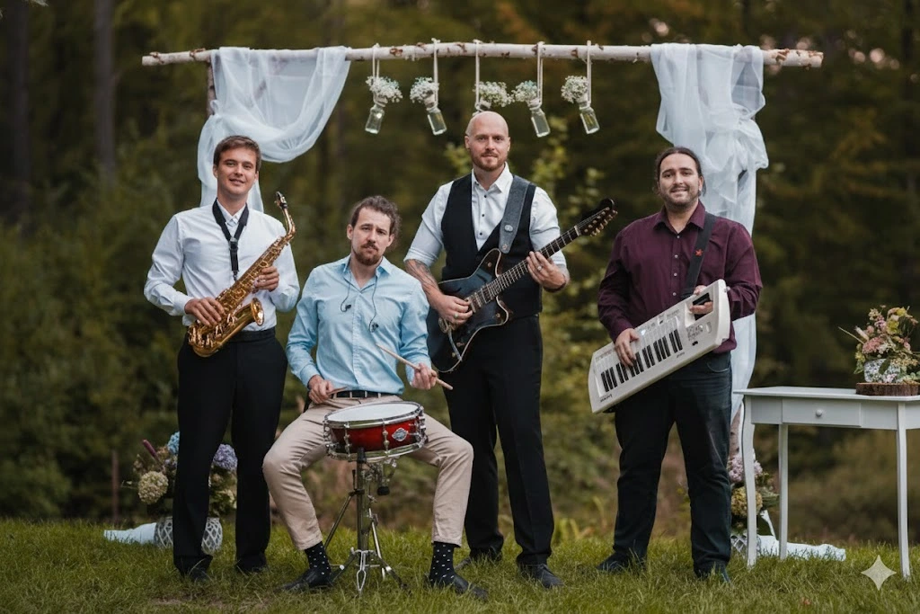 Profesionální ozvučení a osvětlení kapely Deluxe Band na plese